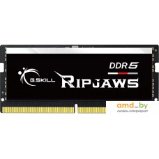 Оперативная память G.Skill Ripjaws 16ГБ DDR5 SODIMM 4800 МГц F5-4800S3434A16GX1-RS