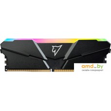 Оперативная память Netac Shadow RGB 16ГБ DDR4 3200 МГц NTSRD4P32SP-16E