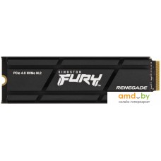SSD Kingston Fury Renegade 500GB SFYRSK/500G
