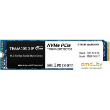 SSD Team MP34 1TB TM8FP4001T0C101