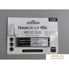 SSD Team MS30 512GB TM8PS7512G0C101