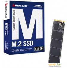SSD BIOSTAR M760 512GB M760­-512GB