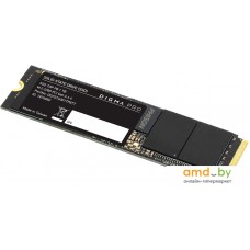 SSD Digma Pro Top P8 1TB DGPST4001TP8T7