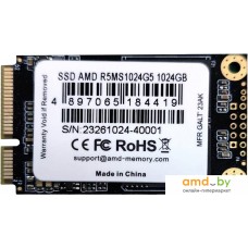 SSD AMD Radeon R5 1TB R5MS1024G5