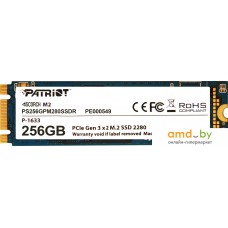 SSD Patriot Scorch M.2 256GB PS256GPM280SSDR