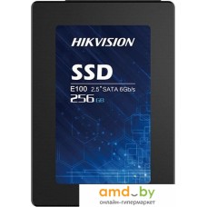 SSD Hikvision E100 256GB HS-SSD-E100/256G