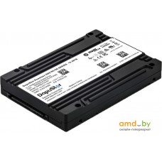 SSD DapuStor Roealsen5 R5101 3.84TB