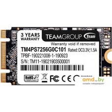 SSD Team MS30 256GB TM4PS7256G0C101