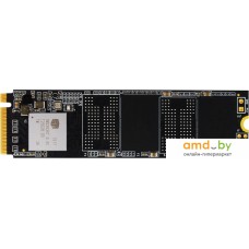 SSD BIOSTAR M700 256GB M700-256GB