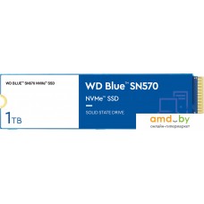 SSD WD Blue SN570 1TB WDS100T3B0C