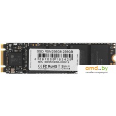 SSD AMD Radeon R5 256GB R5M256G8