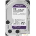 Жесткий диск WD Purple Surveillance 4TB WD42EJRX. Фото №1