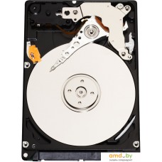 Жесткий диск Infortrend HESS10S3180-00301 1.8TB