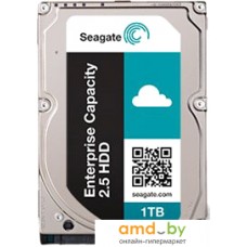 Жесткий диск Seagate Enterprise Capacity 1TB [ST1000NX0313]