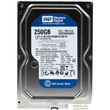 Жесткий диск WD Caviar Blue 250GB (WD2500AAKX)