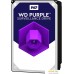 Жесткий диск WD Purple 12TB WD121PURZ. Фото №1