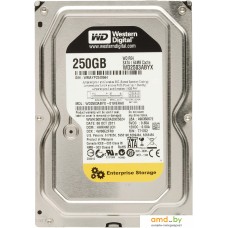 Жесткий диск WD RE4 250GB (WD2503ABYX)