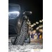 Автомобильные шины Nokian Tyres WR D4 195/60R15 92H. Фото №7