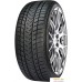 Автомобильные шины Gripmax SureGrip Pro Winter 325/30R21 108V. Фото №1