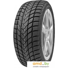 Зимние шины Delinte Winter WD6 185/55R15 82H