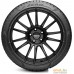 Зимние шины Pirelli P Zero Winter 275/35R19 100V XL. Фото №3