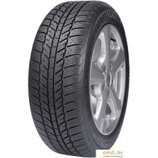 Зимние шины Evergreen EW62 175/70R13 82T