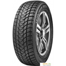 Delinte Winter WD1 235/45R17 97T