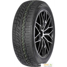 Зимние шины Autogreen Snow Chaser 2 AW08 225/55R16 95H