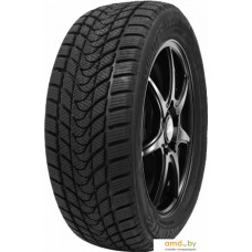 Зимние шины Delinte Winter WD1 235/45R18 98H