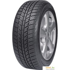 Evergreen EW62 205/65R16 95H