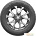 Автомобильные шины Premiorri Vimero 195/65R15 91H. Фото №2