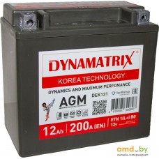 Автомобильный аккумулятор Dynamatrix AGM DEK131 200A (12 А·ч)