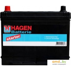 Автомобильный аккумулятор Hagen Starter 59202 (92 А·ч)