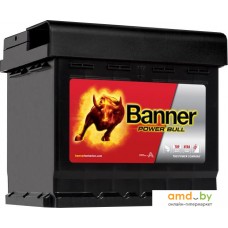 Автомобильный аккумулятор Banner Power Bull P50 03 (50 А·ч)