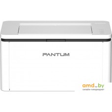 Pantum BP2300W