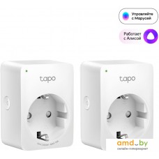 Умная розетка TP-Link Tapo P100 (2 шт)