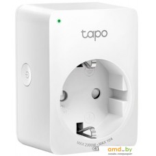 Умная розетка TP-Link Tapo P100