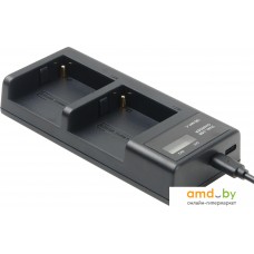 Зарядное устройство GreenBean DualCharger NPF-C