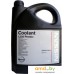 Nissan Coolant L248 Premix 5л. Фото №1