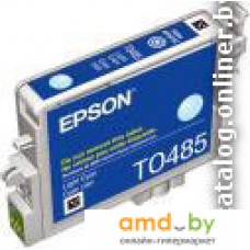 Картридж Epson EPT04854010 (C13T04854010)