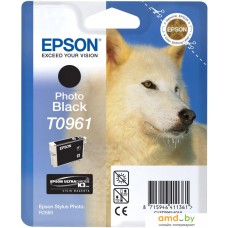 Картридж Epson C13T09614010