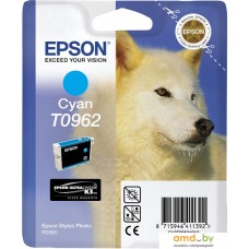 Картридж Epson C13T09624010