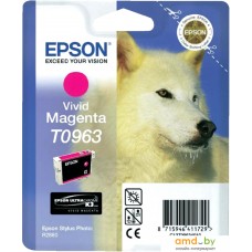 Картридж Epson C13T09634010