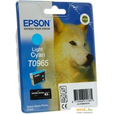 Картридж Epson C13T09654010