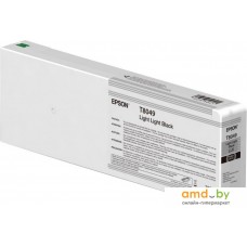 Картридж Epson C13T804900