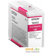 Картридж Epson C13T850300