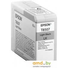 Картридж Epson C13T850700