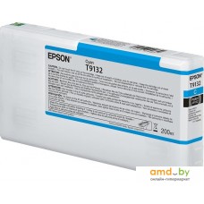 Картридж Epson C13T913200