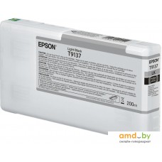 Картридж Epson C13T913700