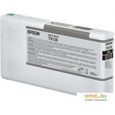 Картридж Epson C13T913800